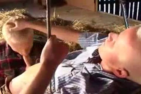 babes In Tthis man Barn