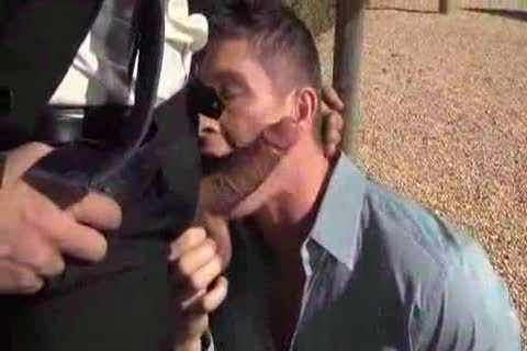 delicious collision In Park