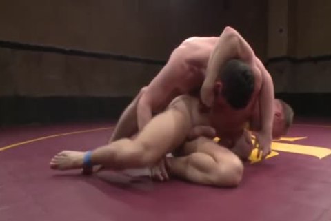 Wrestling For sexual Dominance