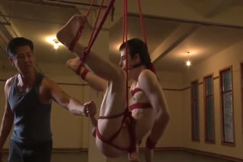 Straight man With enormous dong supplicates To cum