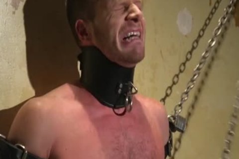 Muscle bondman spanking And sperm flow