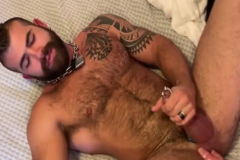 Macho Pups Grunt hammer By Deviant man