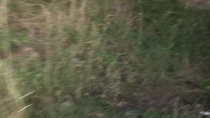 Czech Hunter - Muscled gay being fucked by big dick guy