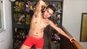 Pinoy VF Model 4