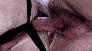 Extra Big Dicks: Cute Little Ass Invites Big Dick