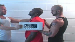 Next Door Studios: Hairy Trio Shares Their BBC