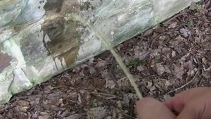 Czech Hunter: A Hiker's Forbidden Fantasy Comes True